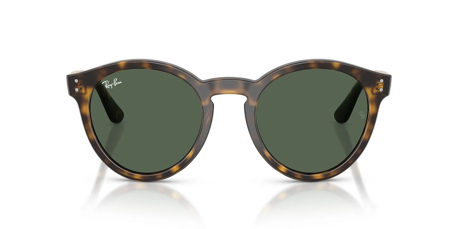 Ray-Ban R0505S Sunglasses - view 41
